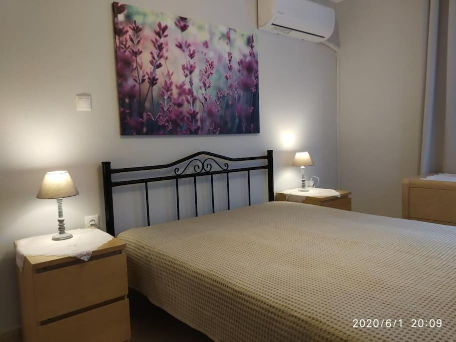 亚历山德鲁波利斯Anadora 2: Hospitable Stone House With Yard公寓 外观 照片
