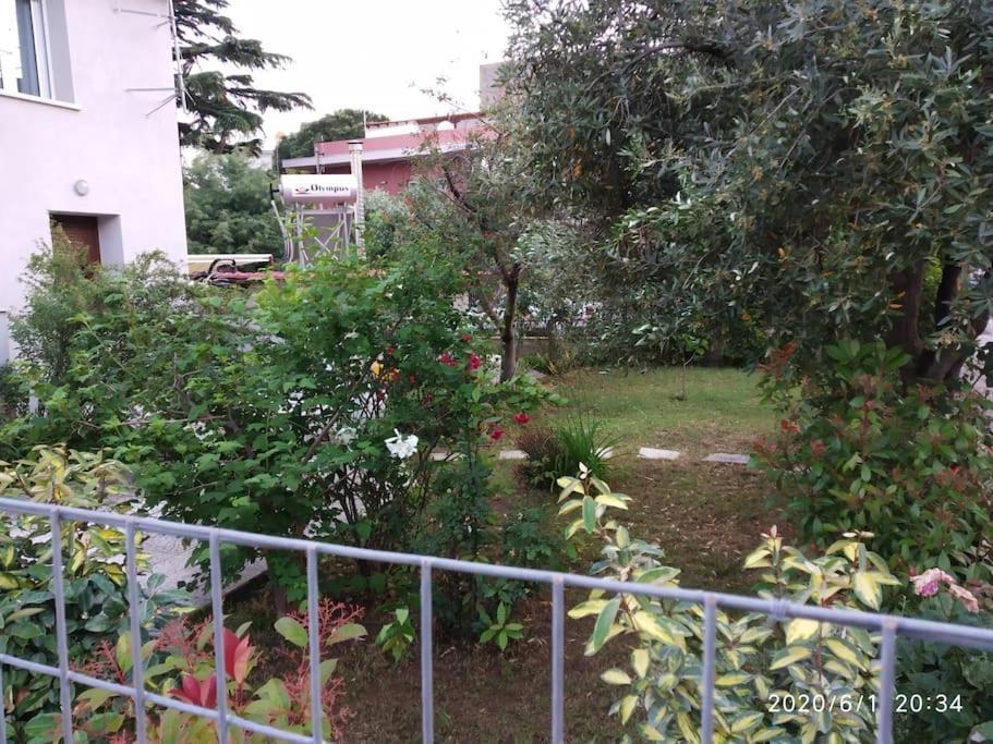 亚历山德鲁波利斯Anadora 2: Hospitable Stone House With Yard公寓 外观 照片