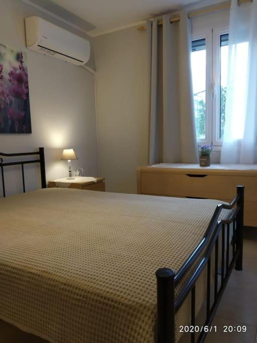 亚历山德鲁波利斯Anadora 2: Hospitable Stone House With Yard公寓 外观 照片