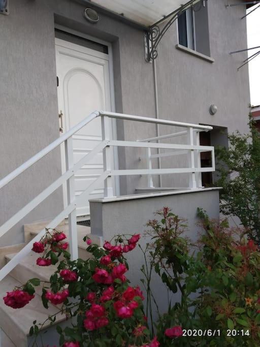亚历山德鲁波利斯Anadora 2: Hospitable Stone House With Yard公寓 外观 照片