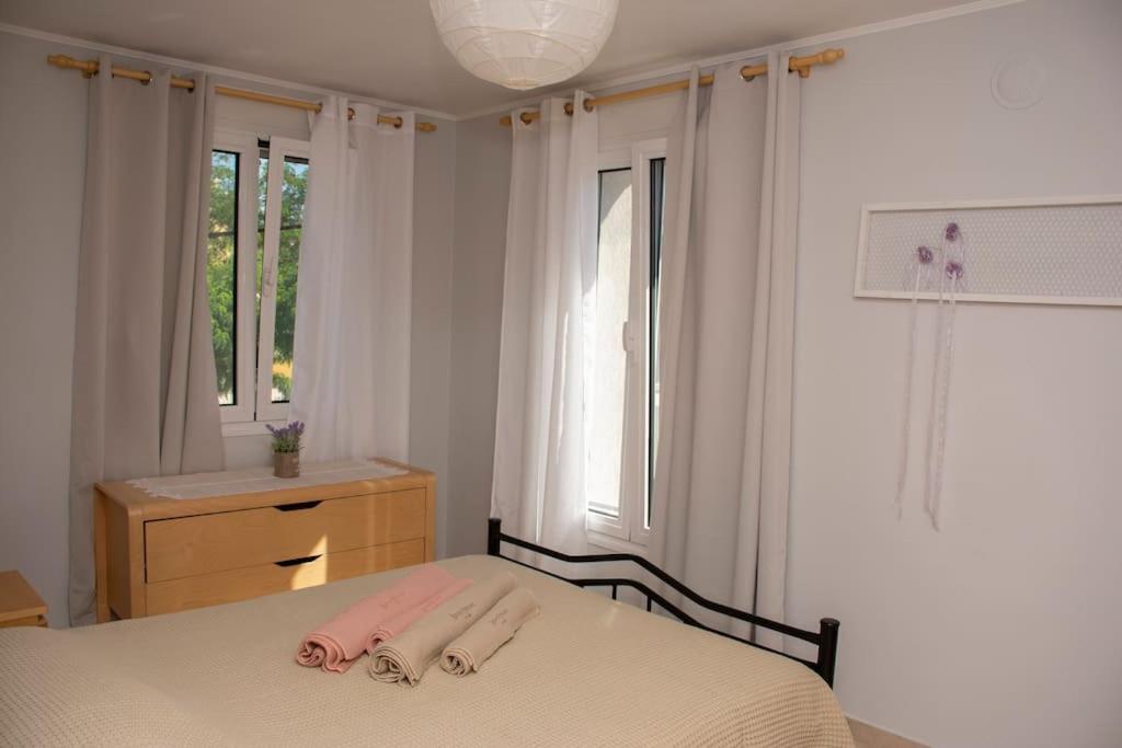 亚历山德鲁波利斯Anadora 2: Hospitable Stone House With Yard公寓 外观 照片
